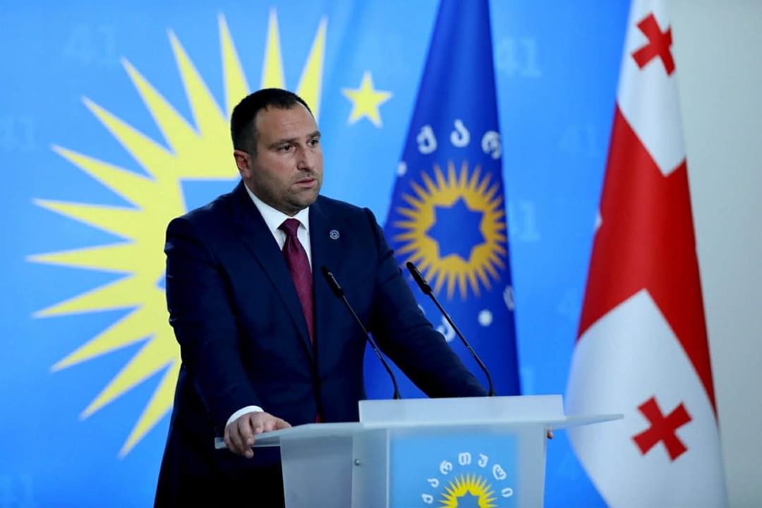 EU visa suspension for diplomatic passports will have no practical impact, Georgia’s ruling party