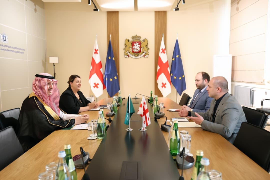 Georgian Education Minister, Saudi Ambassador discuss expanding cooperation in education, science, youth