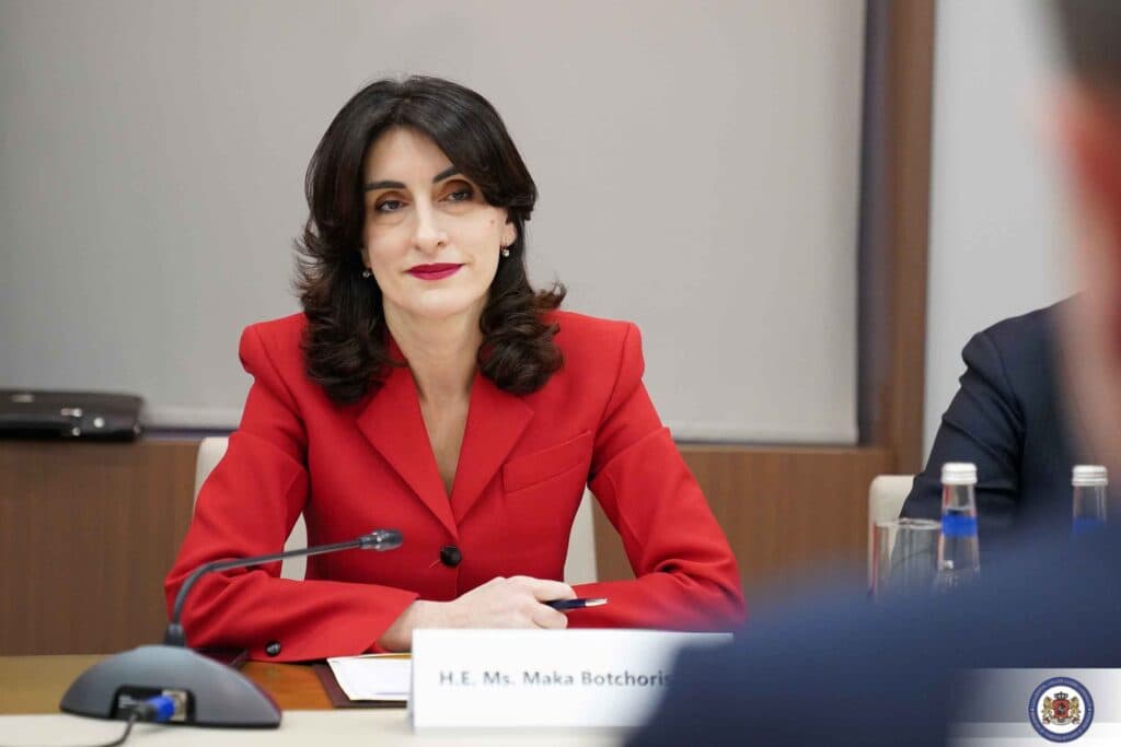 FM Botchorishvili: Georgia is a stable country with strategic ties to all neighbours