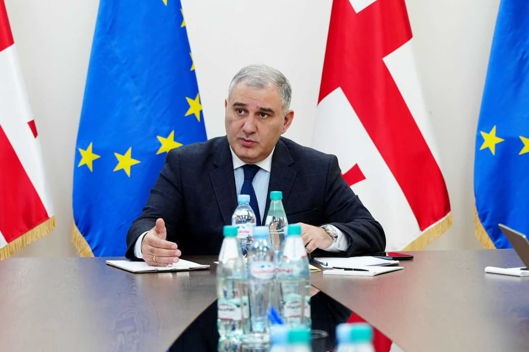 Georgian Health Minister says no fee guarantees work permit for foreign nationals