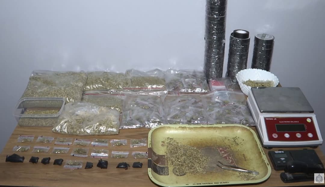 Two arrested in Tbilisi over drug possession, trafficking allegations