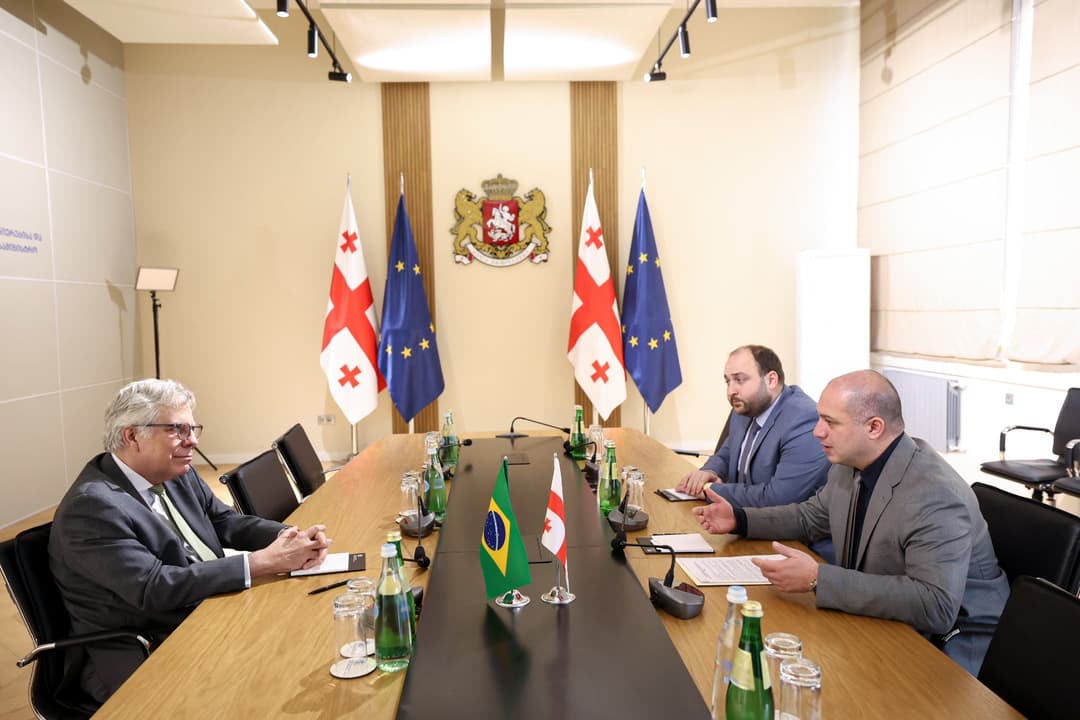 გივი მიქანაძემ ბრაზილიის ელჩთან შეხვედრა გამართა