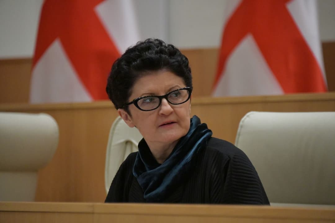 თეა წულუკიანი - გავაქციე ეს ადამიანი ქვეყნიდან და რომელი დებატის წაგებაზეა საუბარი, არ ვიცი