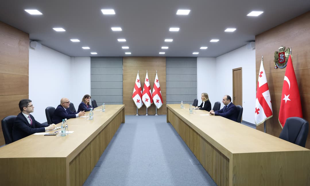 გეკა გელაძემ თურქეთის ელჩთან გამოსამშვიდობებელი შეხვედრა გამართა