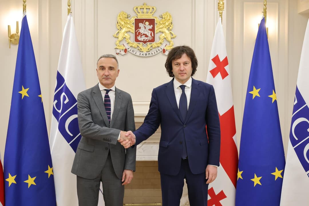 ირაკლი კობახიძე ეუთოს საპარლამენტო ასამბლეის პრეზიდენტს შეხვდა