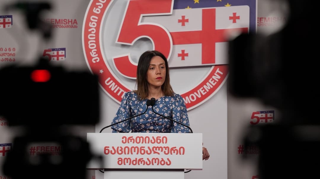 Freedom struggle outweighs opposition differences, UNM’s Tsitlidze 