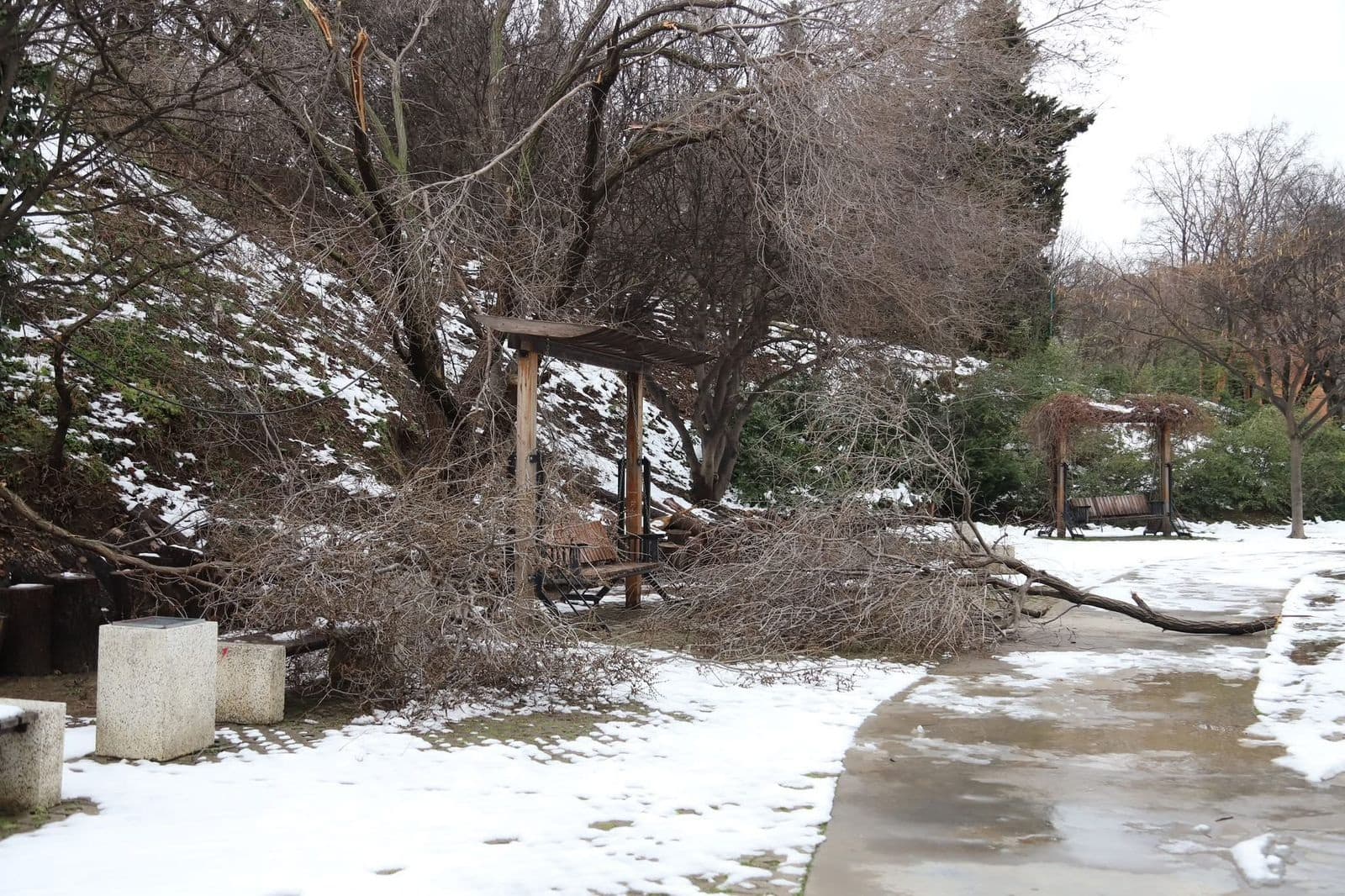 Frontnews image description