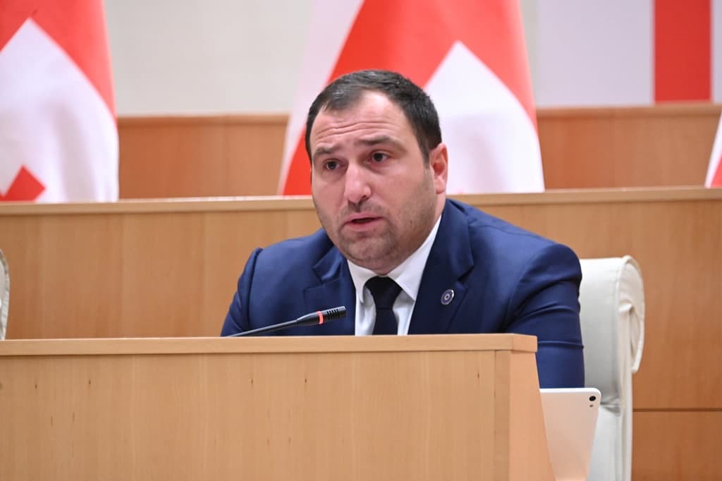 Ruling party MP: attacks on Georgian media lack any substantive basis