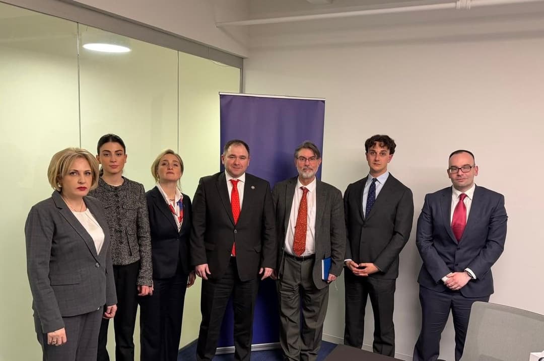 Georgian delegation, Quincy Institute discuss US foreign policy, regional security