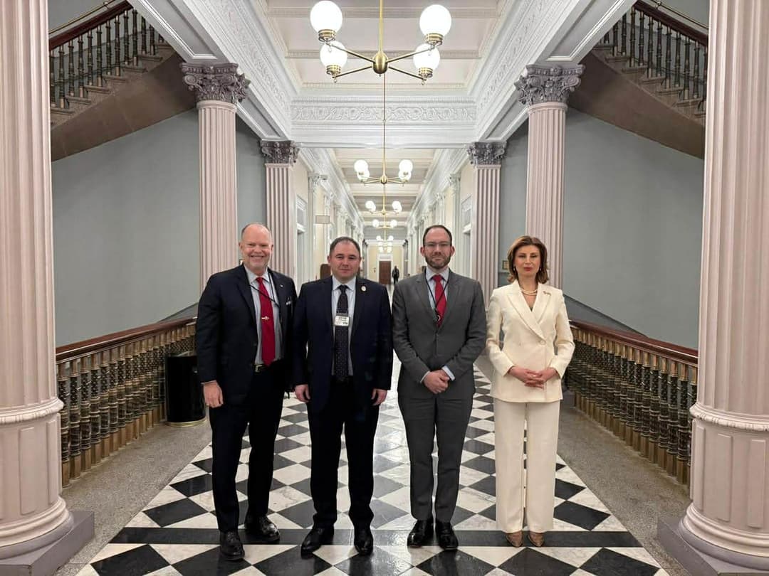 Foreign Committee Chair Samkharadze: meeting with US Deputy National Security Adviser ‘quite interesting’