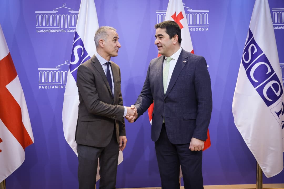Parliament speaker meets OSCE parliamentary assembly president in Tbilisi