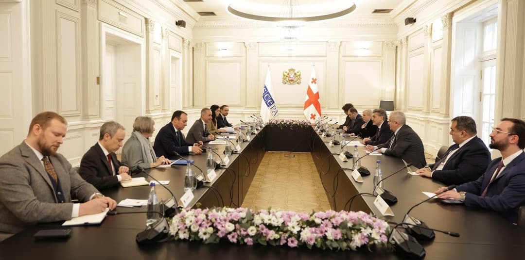 მიხეილ ყაველაშვილი ეუთოს საპარლამენტო ასამბლეის პრეზიდენტს შეხვდა