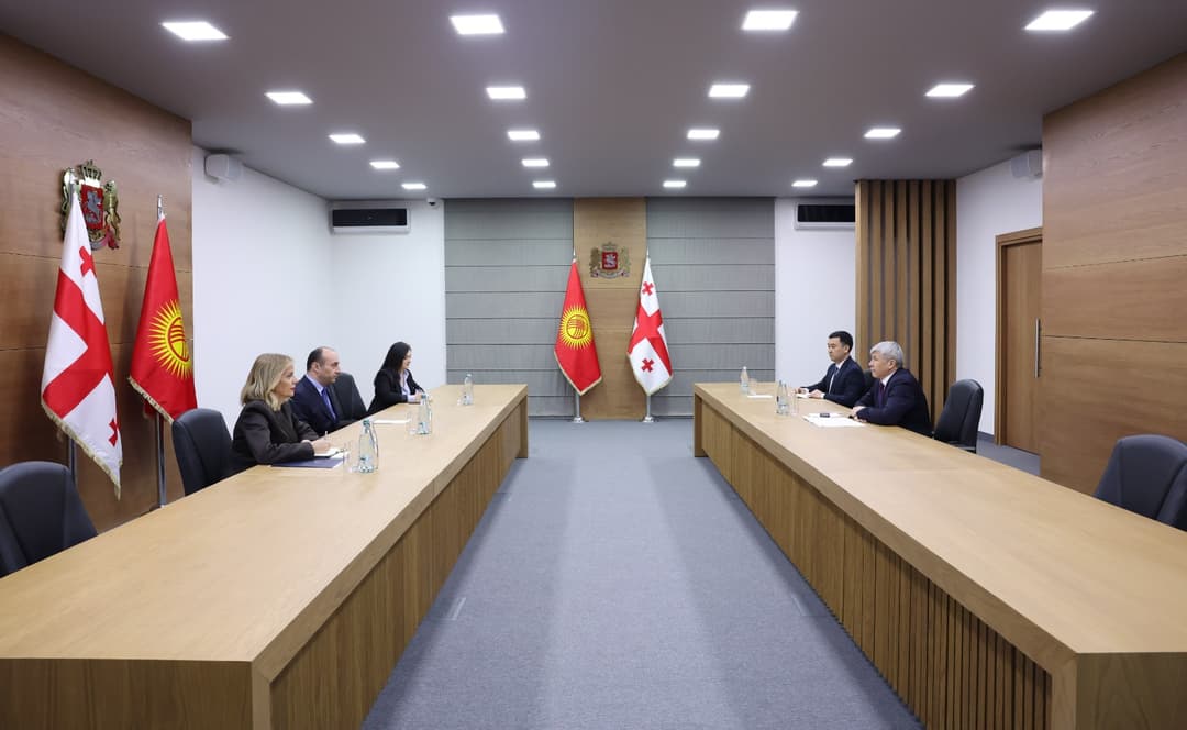 გეკა გელაძე საქართველოში ყირგიზეთის რესპუბლიკის ელჩს შეხვდა