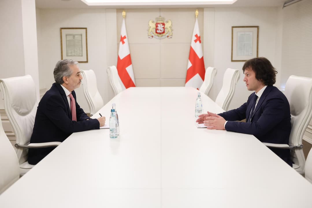 ირაკლი კობახიძე საქართველოში ისრაელის ელჩს შეხვდა