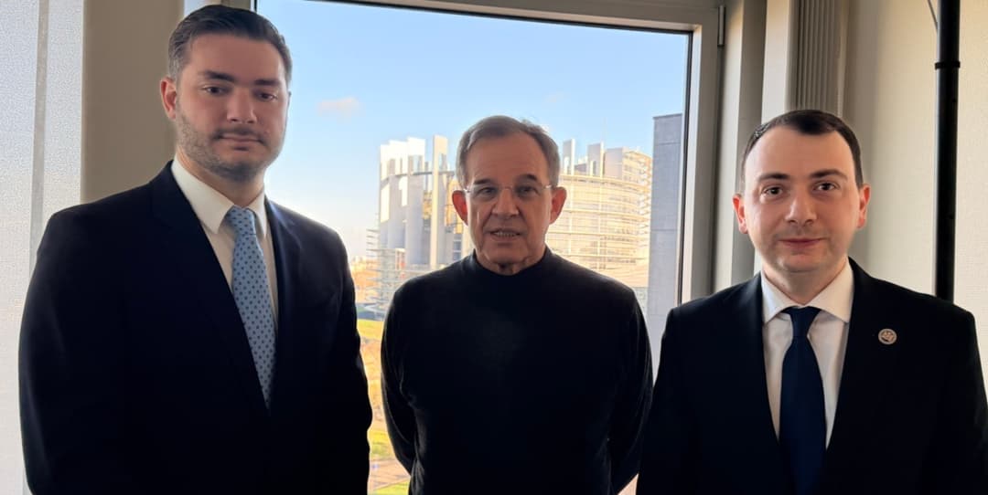 საპარლამენტო დელეგაციამ ევროპარლამენტსა და ევროპის საბჭოში შეხვედრები გამართა