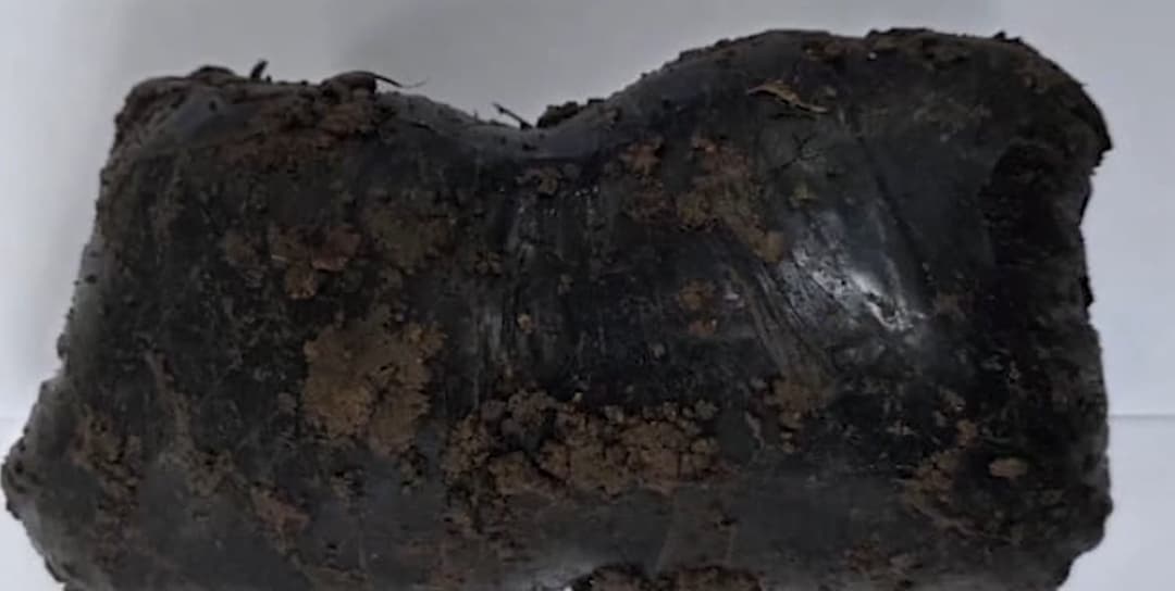 Turkmen national arrested in Kvemo Kartli for trafficking large quantity of narcotics