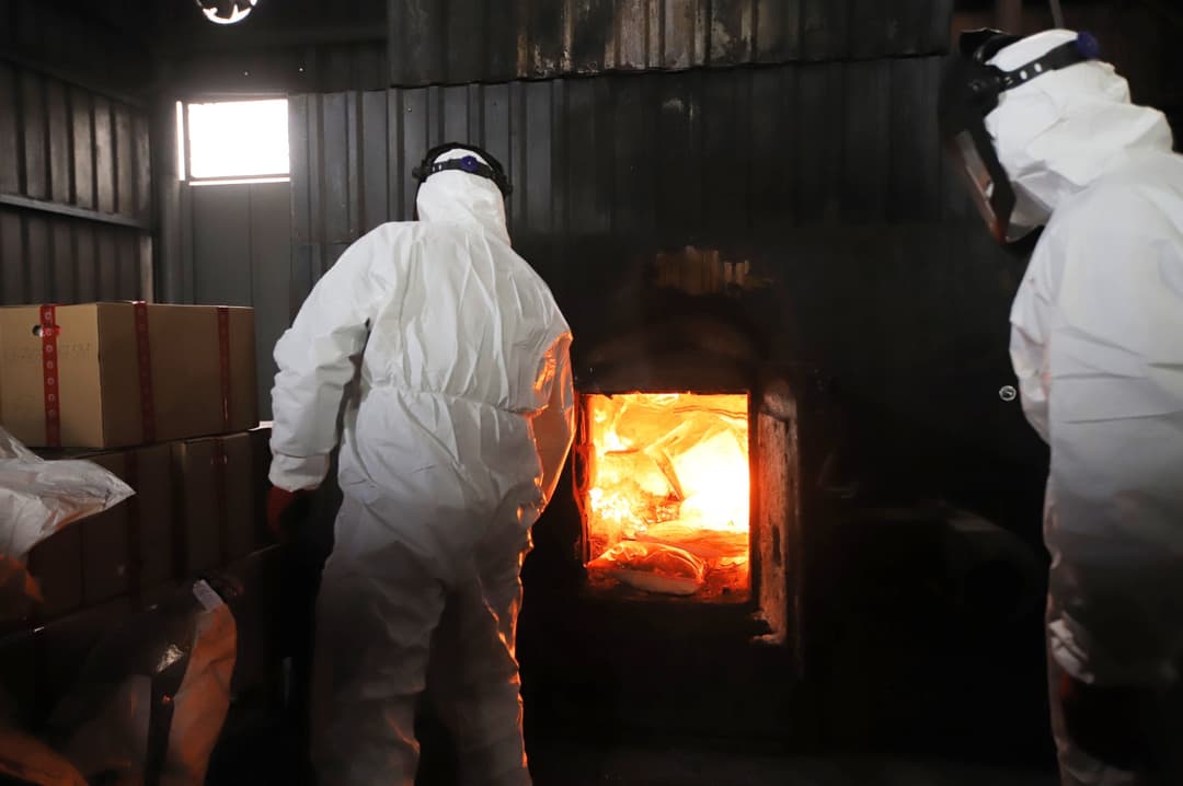 Georgian authorities destroy 626kg of seized narcotics worth 19m lari