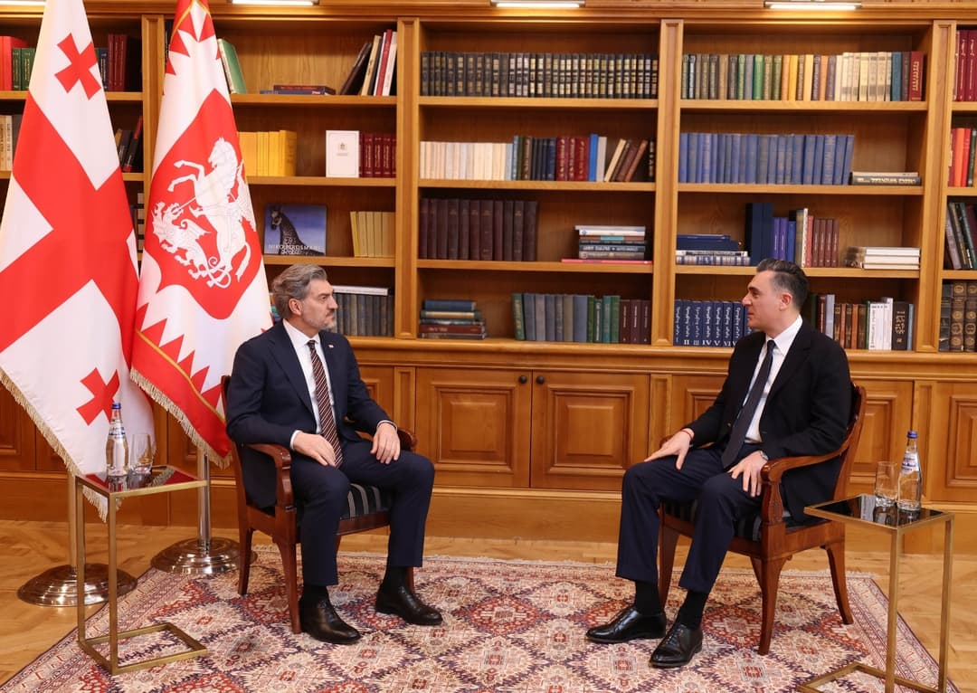 მიხეილ ყაველაშვილი ილია დარჩიაშვილს შეხვდა