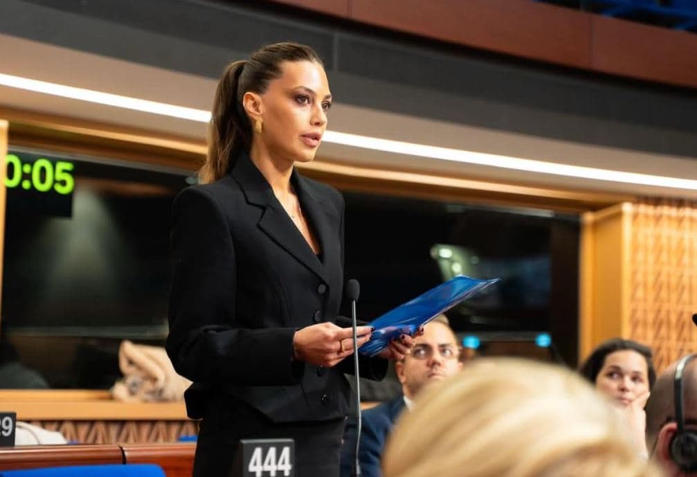 ნინო ვარდოსანიძე - რეზოლუციაში ასახული შეფასებები და მოთხოვნები არ შეესაბამება ქართველი ხალხისა და ქართული სახელმწიფოს ინტერესებს