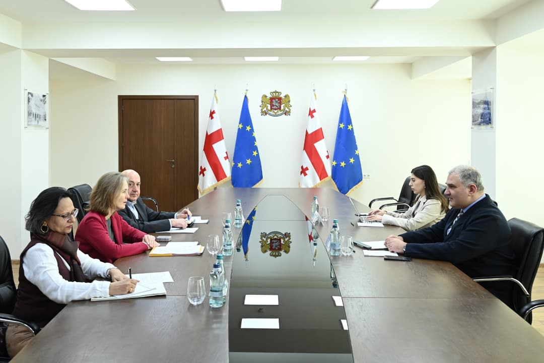 Georgian Health Minister, UNFPA regional chief meet to advance joint programmes