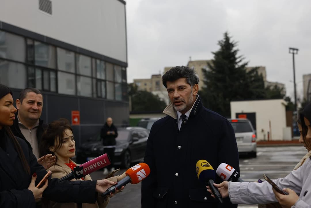 Tbilisi Mayor accuses political groups of spreading disinformation over stray animal issue