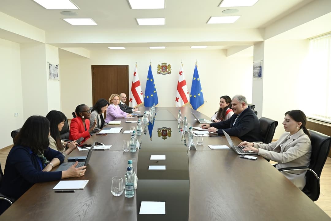 Georgia health reforms discussed in World Bank meeting