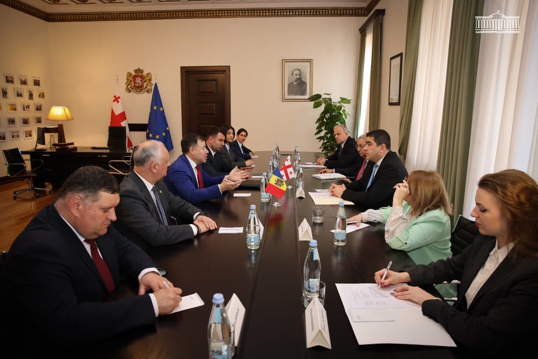 Georgian Parliament Speaker meets Moldovan delegation to discuss bilateral cooperation