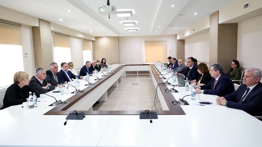 Gov’t announces new Spatial Development Master Plan for Telavi to boost economic, tourism potential