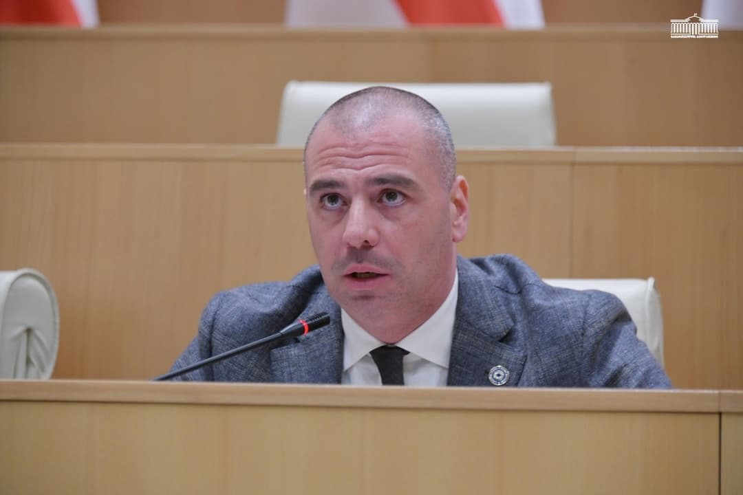 Georgian Dream MP accuses opposition of foreign influence, defends electoral legitimacy