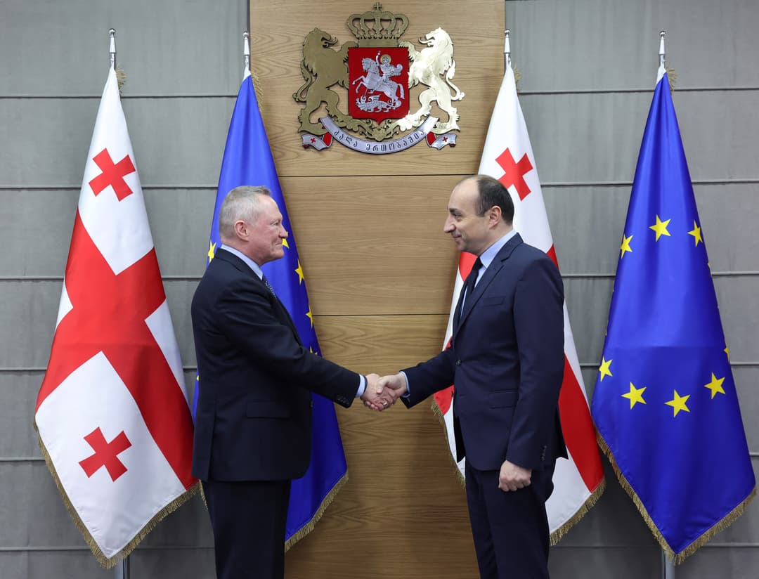 Georgian Interior Minister meets Council of Europe Human Rights Commissioner