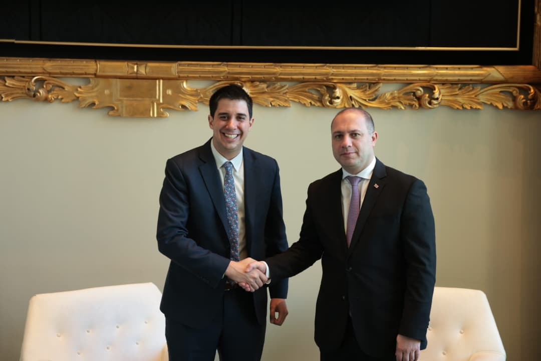 Georgian Education Minister, UN Youth Affairs chief discuss expanding youth cooperation