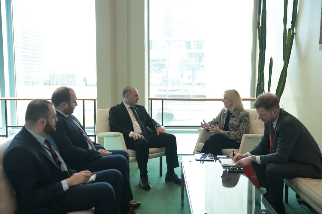 Georgia and Austria discuss expanding cooperation in education, youth policy