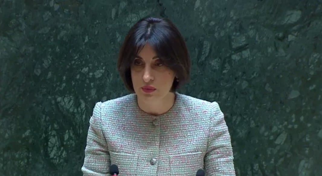 FM: Georgia must be cautious in full foreign policy alignment with EU 