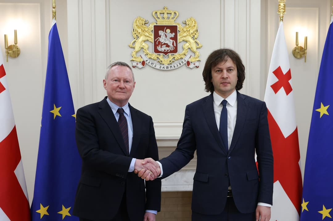 Georgian PM, Council of Europe Human Rights Commissioner discuss cooperation, ongoing reforms