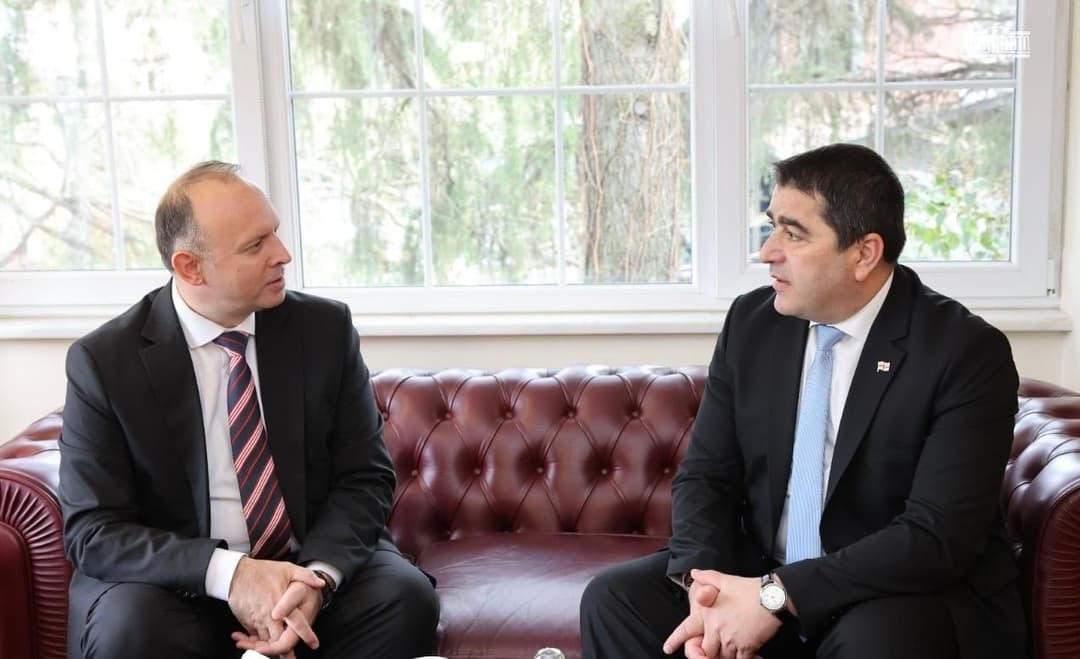 Georgian, North Macedonian speakers discuss cooperation, economic ties