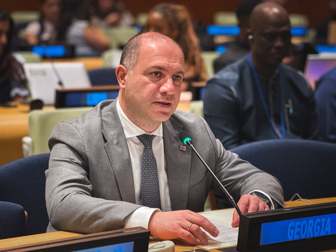 Georgian Education Minister highlights youth policy at UN forum in New York
