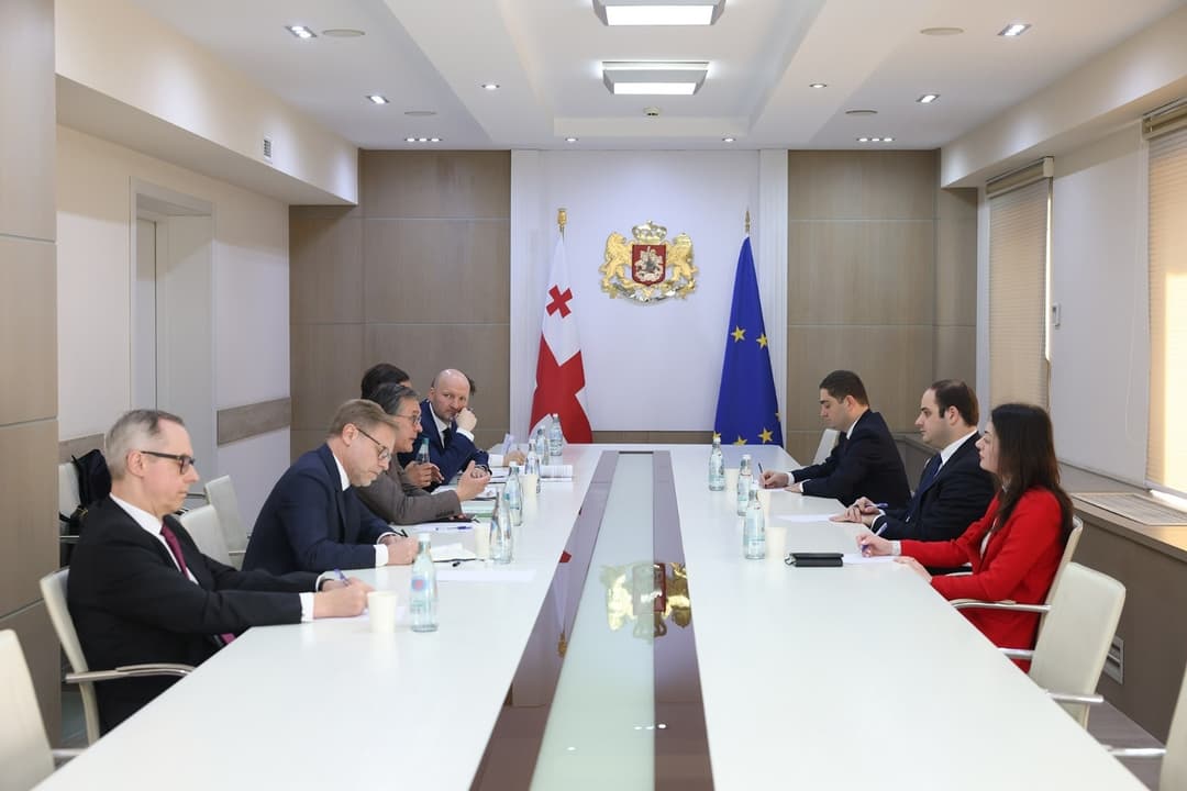 Georgia reiterates EU reform commitment in talks with Weimar Triangle delegation