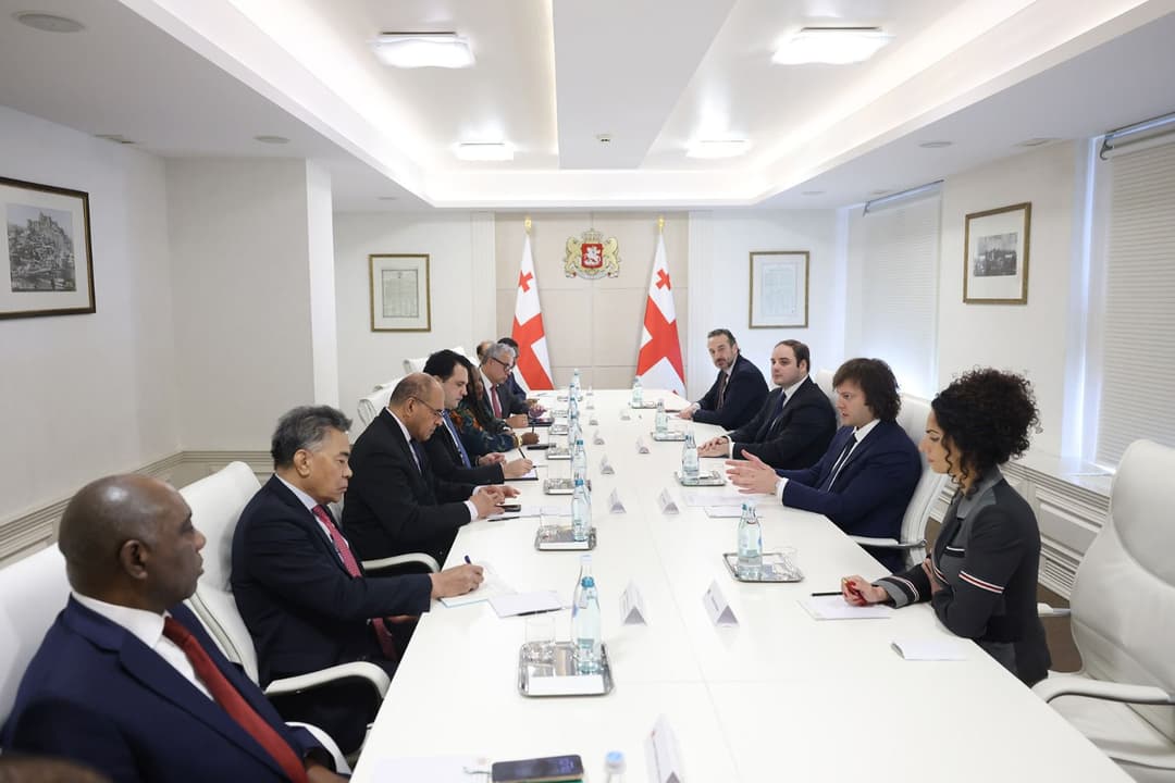 Georgian PM highlights peace, investment climate in meeting with UN ambassadors
