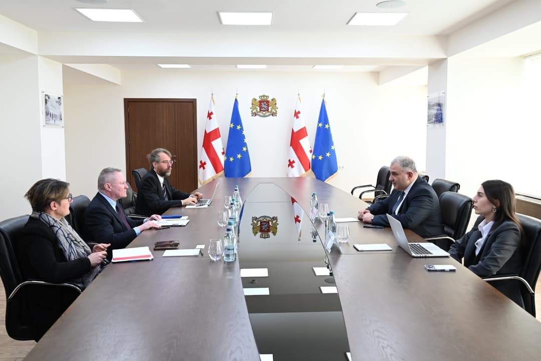 Georgian Health Minister meets Council of Europe Human Rights Commissioner, discusses rights situation in country