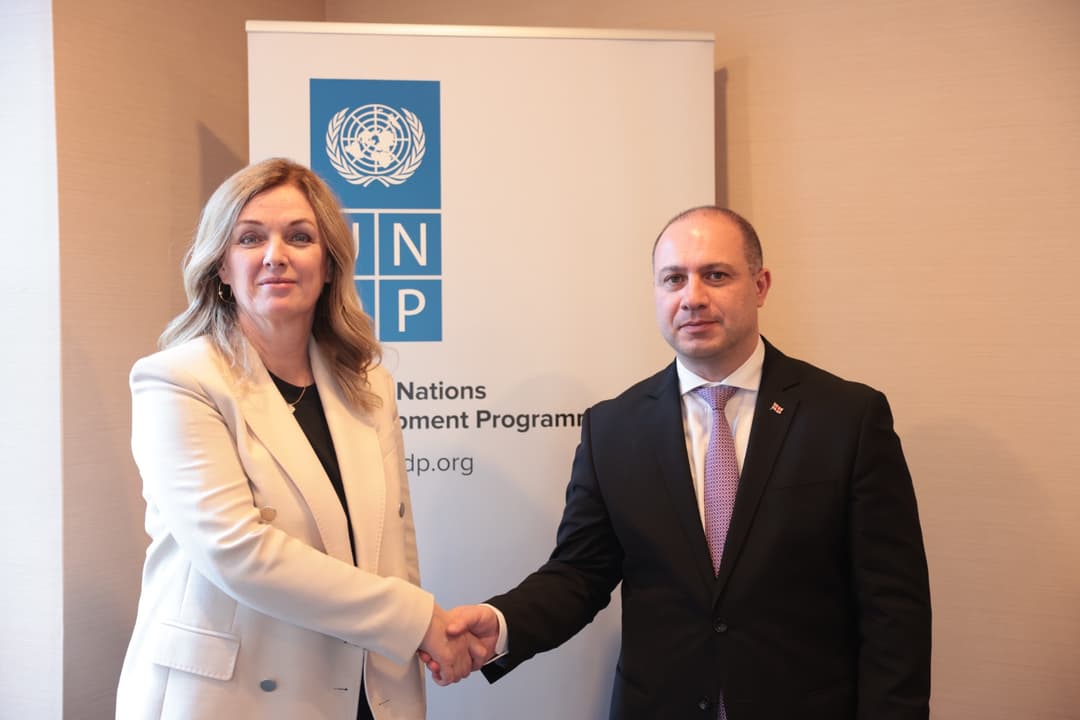 Georgia and UNDP discuss vocational education projects during US meeting