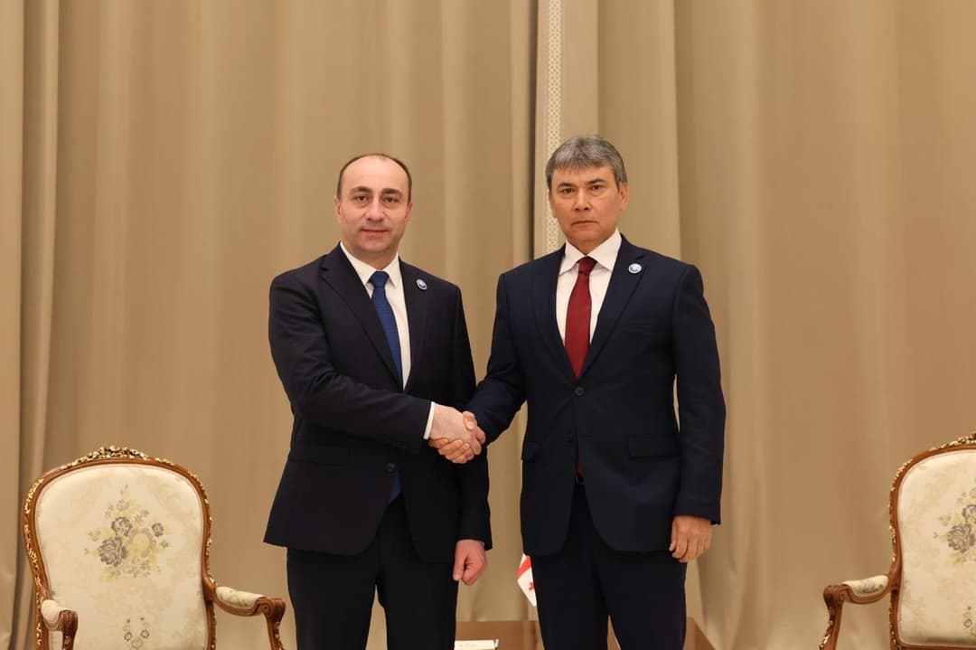 Georgia and Uzbekistan discuss security cooperation