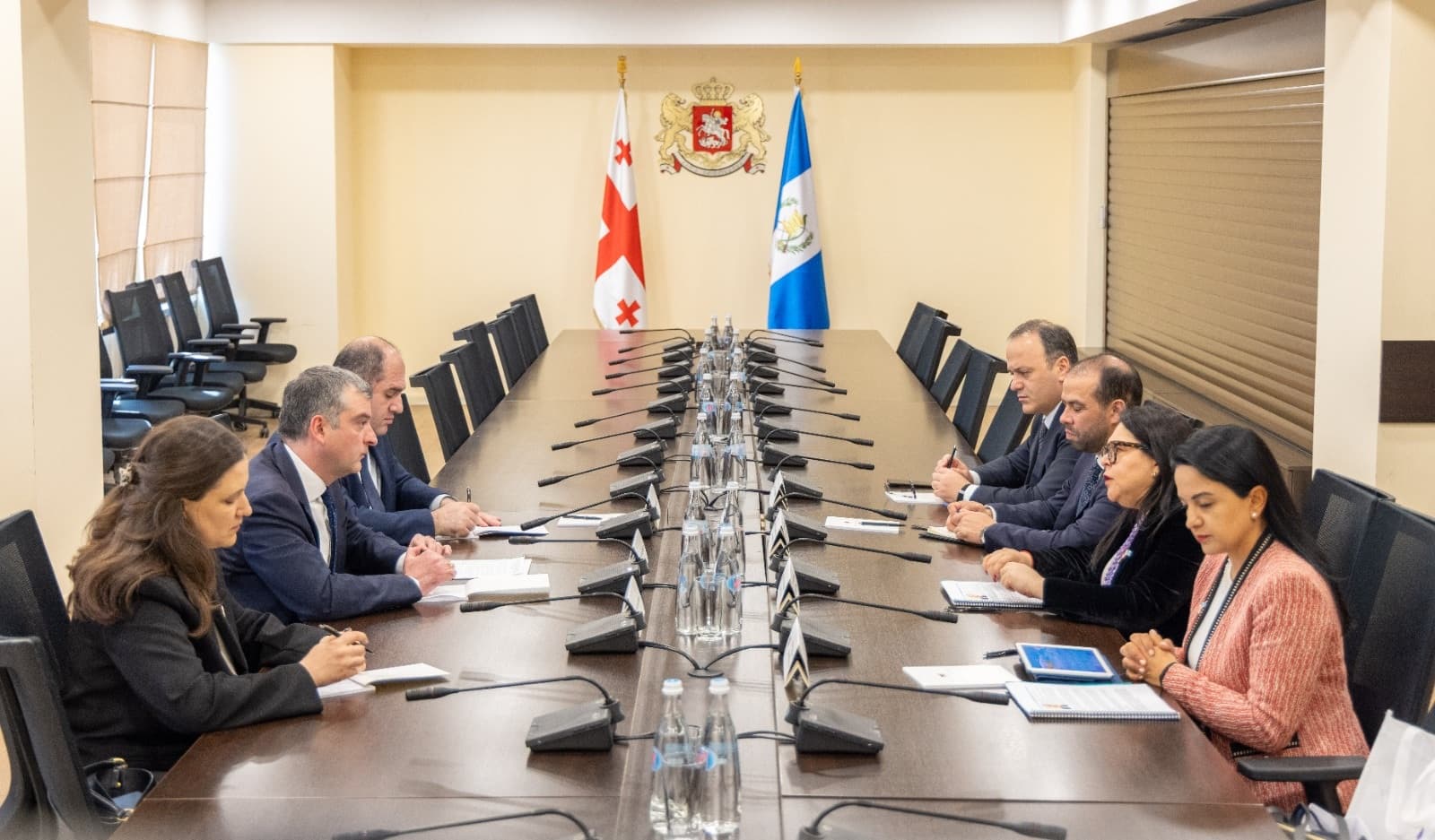 პაატა პატიაშვილმა გვატემალის საგარეო საქმეთა მინისტრის მოადგილეს უმასპინძლა