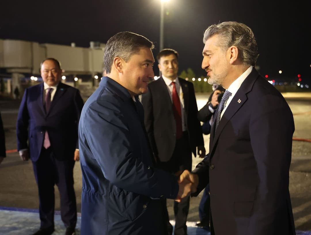 Georgian President to attend regional ecological summit in Astana