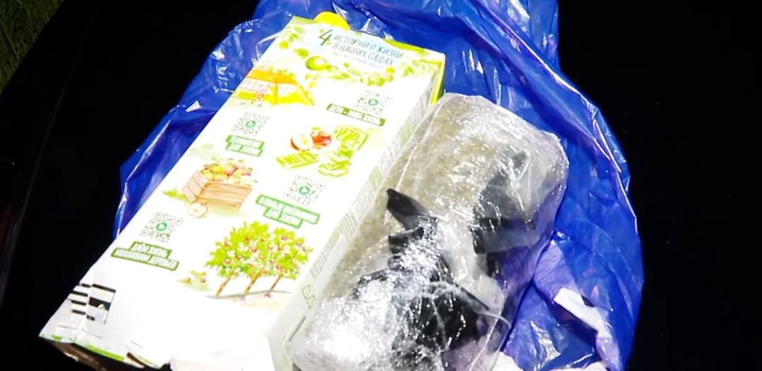 Five arrested in Georgia over large-scale drug offences, police 