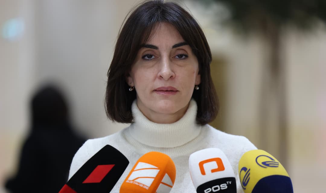 Georgian FM highlights OSCE Security Forum role, stresses focus on occupation, conflicts 