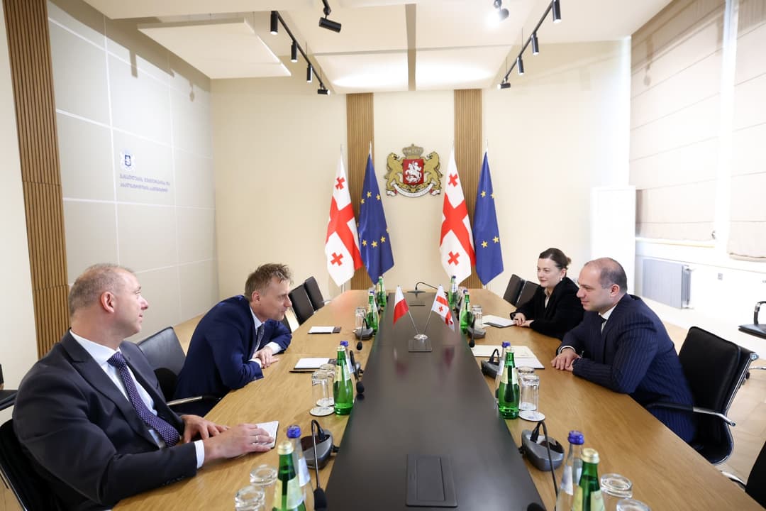 Georgian Education Minister, Head of Poland's Diplomatic Mission discuss expanding cooperation