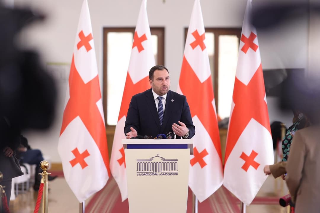 Ruling party’s Kirtskhalia says public ‘made clear choice’ amid criticism of EU Ambassador