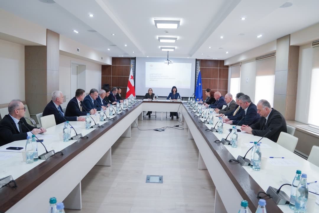 ირინე წაქაძემ სამოქალაქო თანასწორობისა და ინტეგრაციის სამთავრობო კომისიის გაფართოებული სხდომაში მიიღო მონაწილეობა