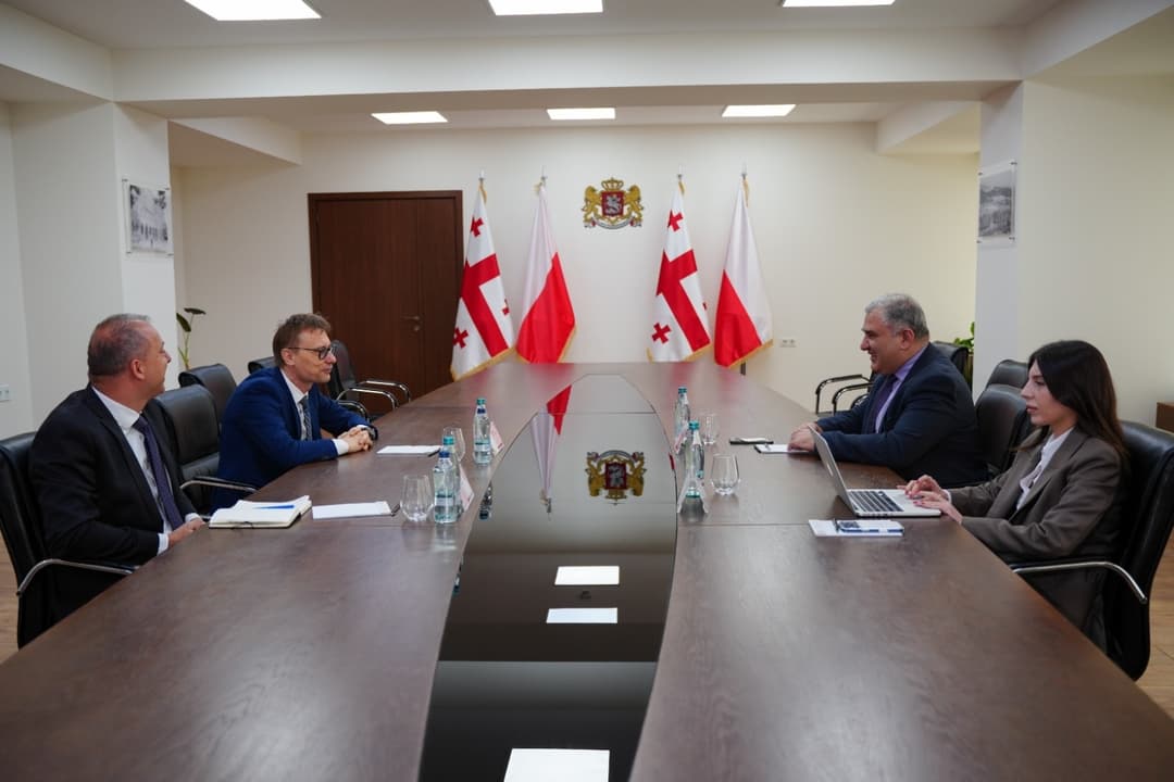 მიხეილ სარჯველაძე საქართველოში პოლონეთის საელჩოს მისიის ხელმძღვანელს შეხვდა