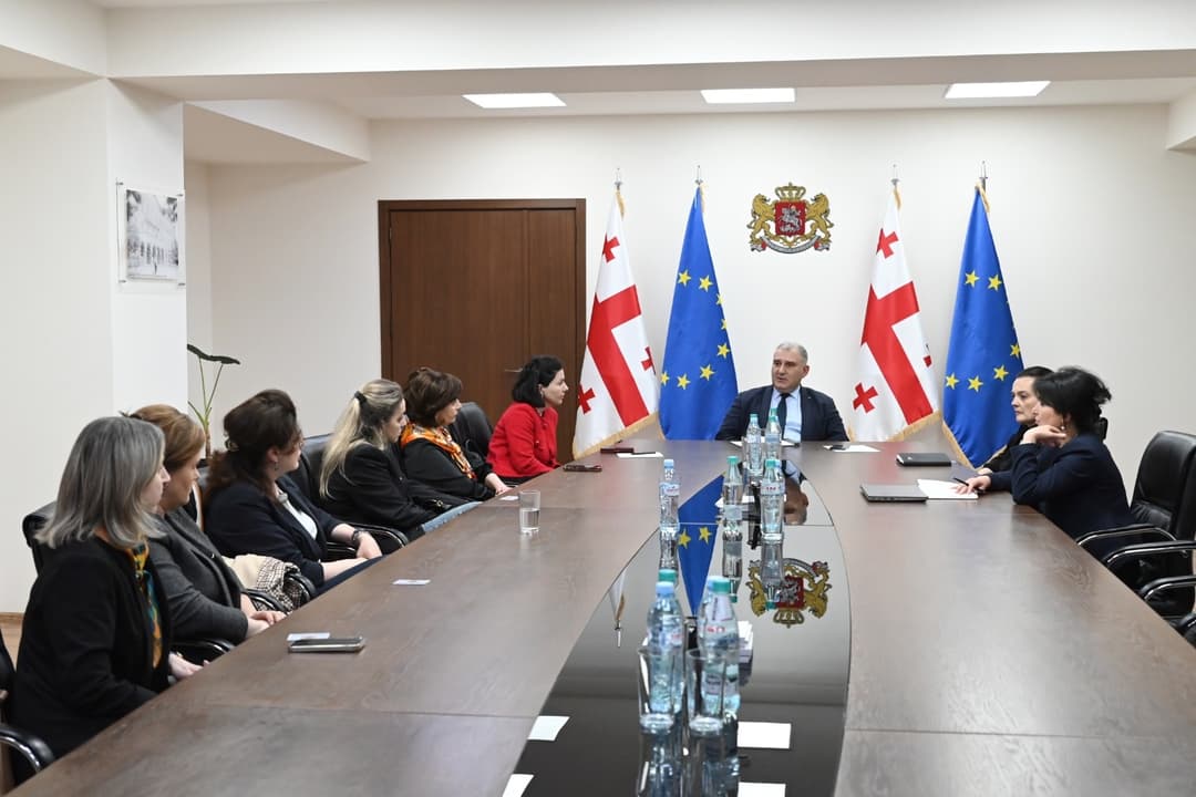 მიხეილ სარჯველაძე ტიპი 1 დიაბეტის დიაგნოზის მქონე ბავშვების მშობლებს შეხვდა